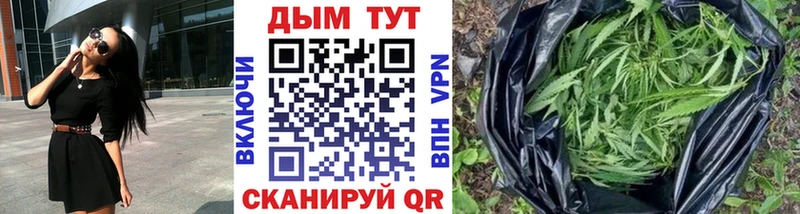 мориарти какой сайт  где купить   Сурск  Бошки марихуана сатива 